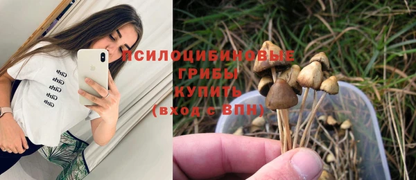 мяу мяу мука Балабаново
