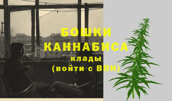 2c-b Янаул