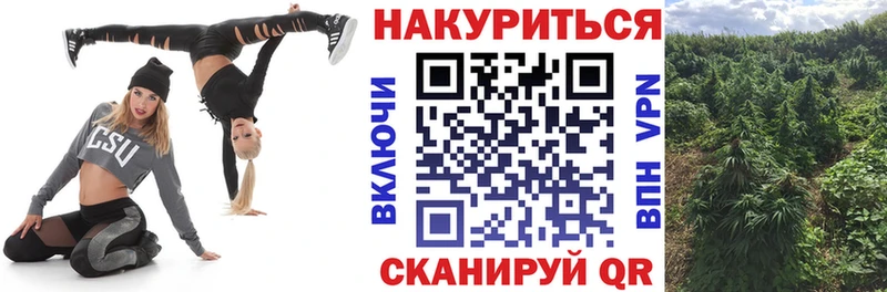 Канабис White Widow  закладка  Белоярский 
